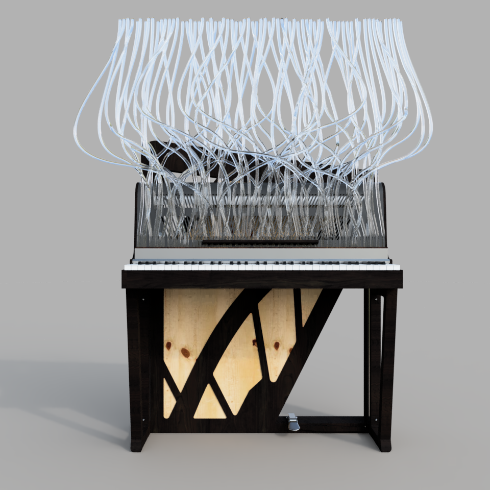 Sculptural Edition