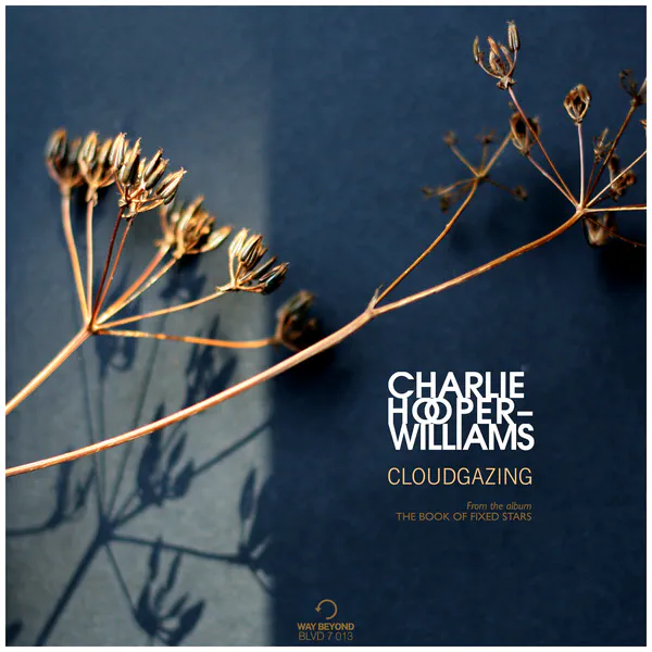 Cloudgazing (Radio Edit) - Front Cover